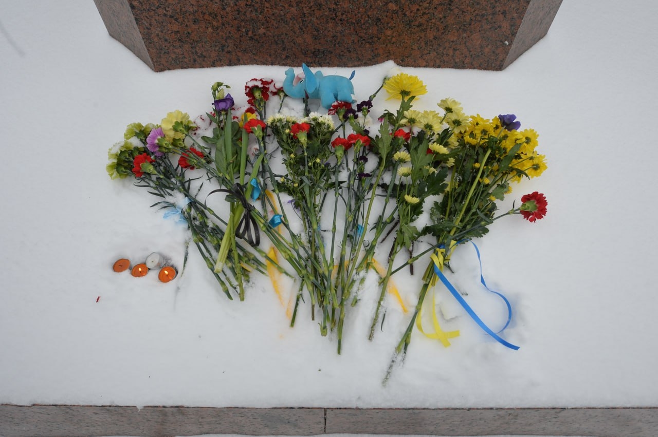 Image from gallery
