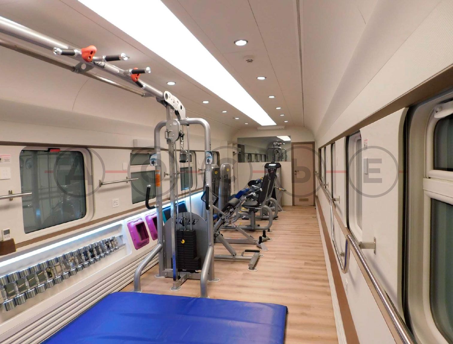Image from gallery