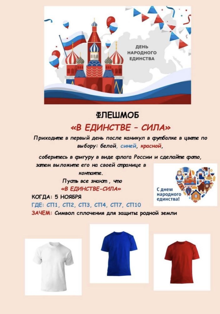 The announcement of the patriotic National Unity Day flash mob at the school where Lyubov’s children study. 