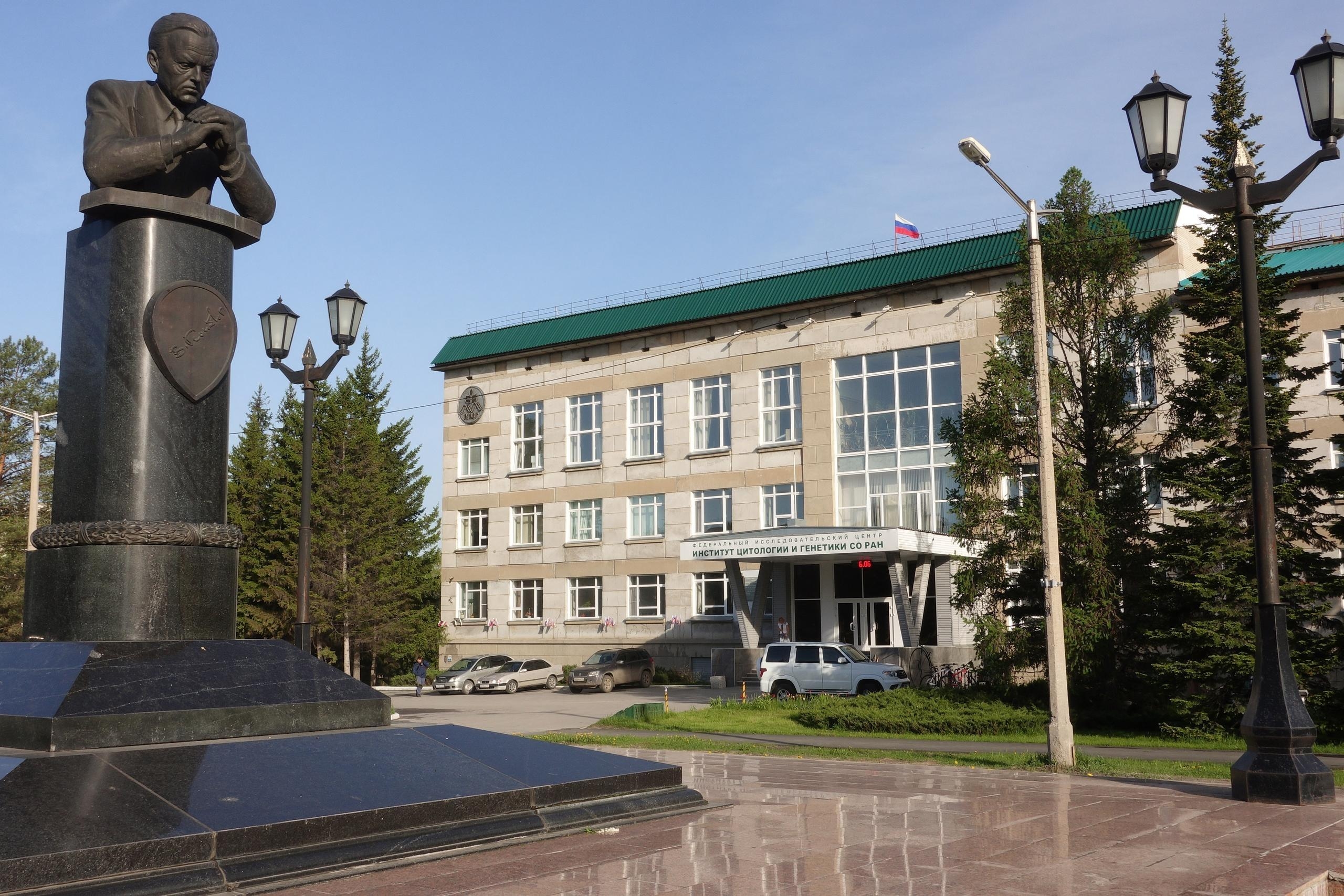 Photo: Institute of Cytology and Genetics, Siberian Branch, Russian Academy of Sciences