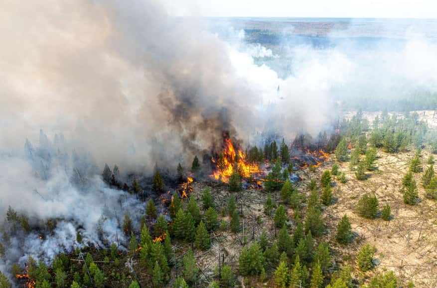 Let it burn: Russia faces risk of massive wildfires this year due to war-driven budget cuts