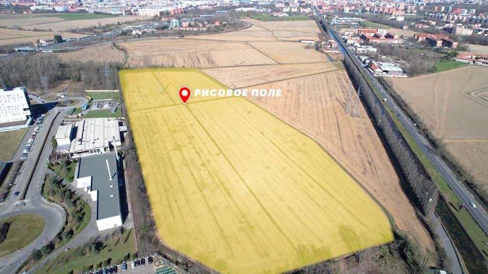 Изображение из галереи