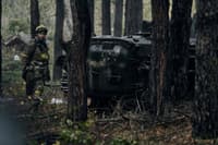 Миниатюра 8