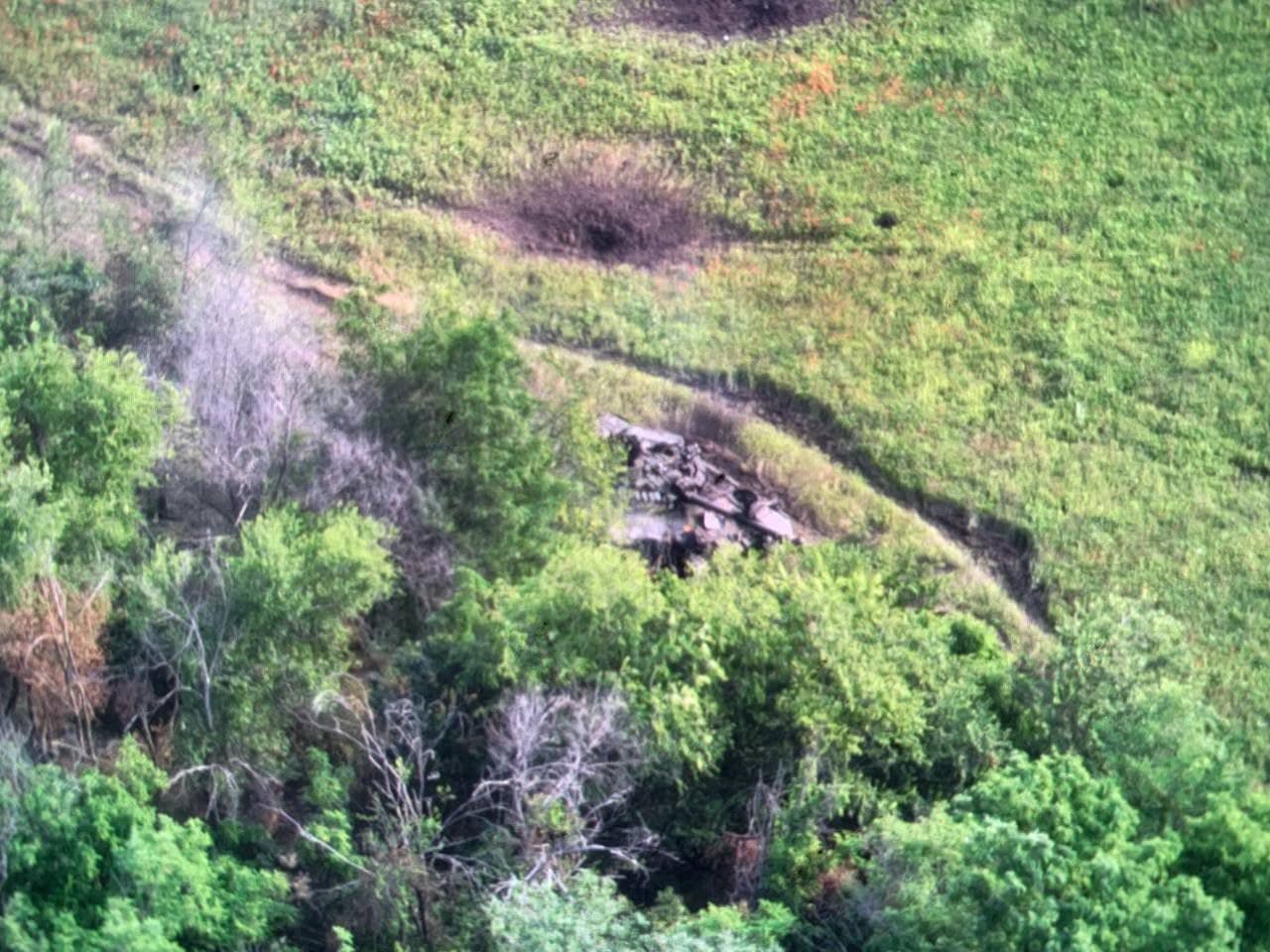 Изображение из галереи