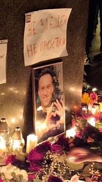 Миниатюра 5