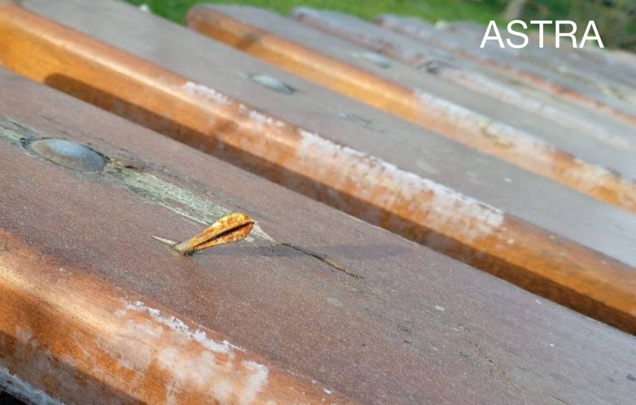 Изображение из галереи