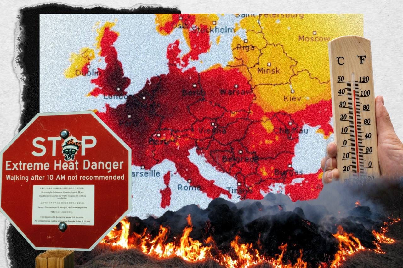 Некоторые любят похолоднее. Экстремальная жара приведет к массовой миграции, ударит по экономике, авиации и искусству