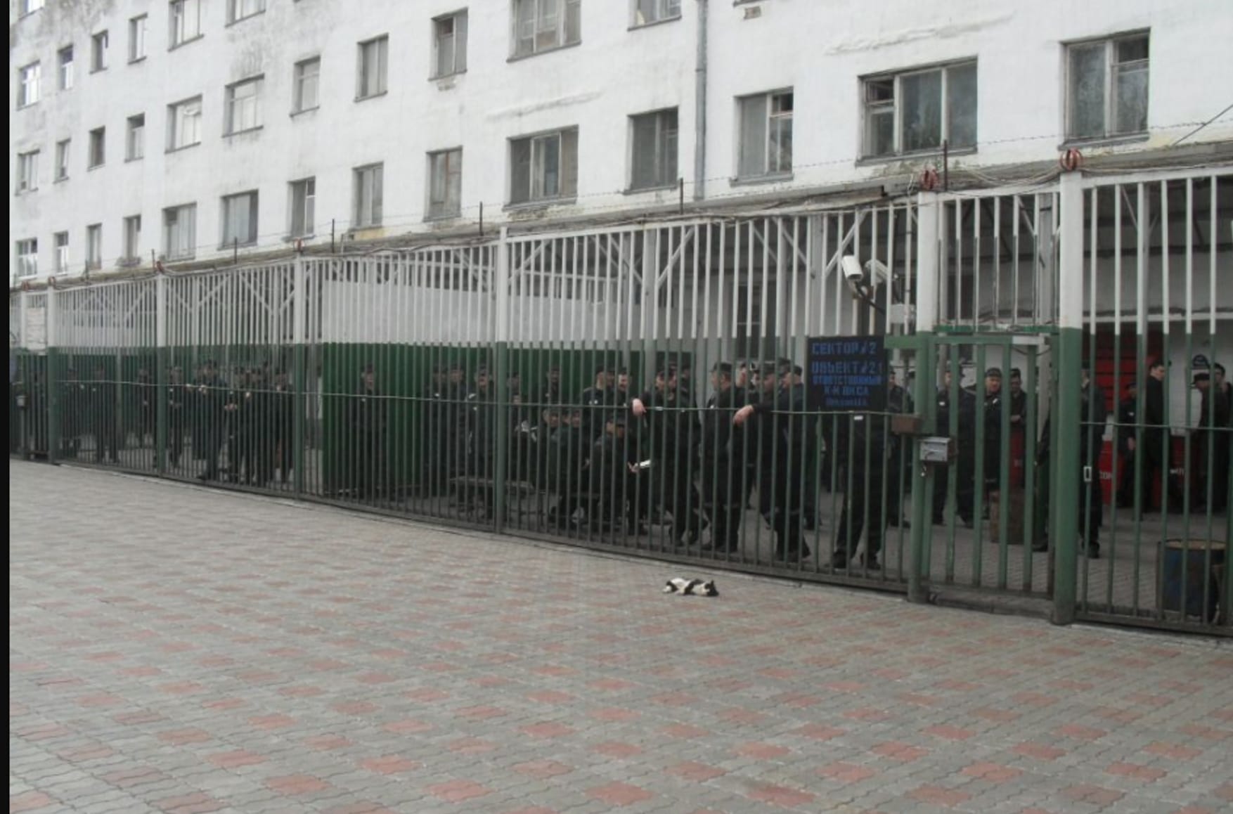 “GRU officers do time for drugs, the police for protection rackets”: Inside Russia’s prison colony for crooked cops and spooks