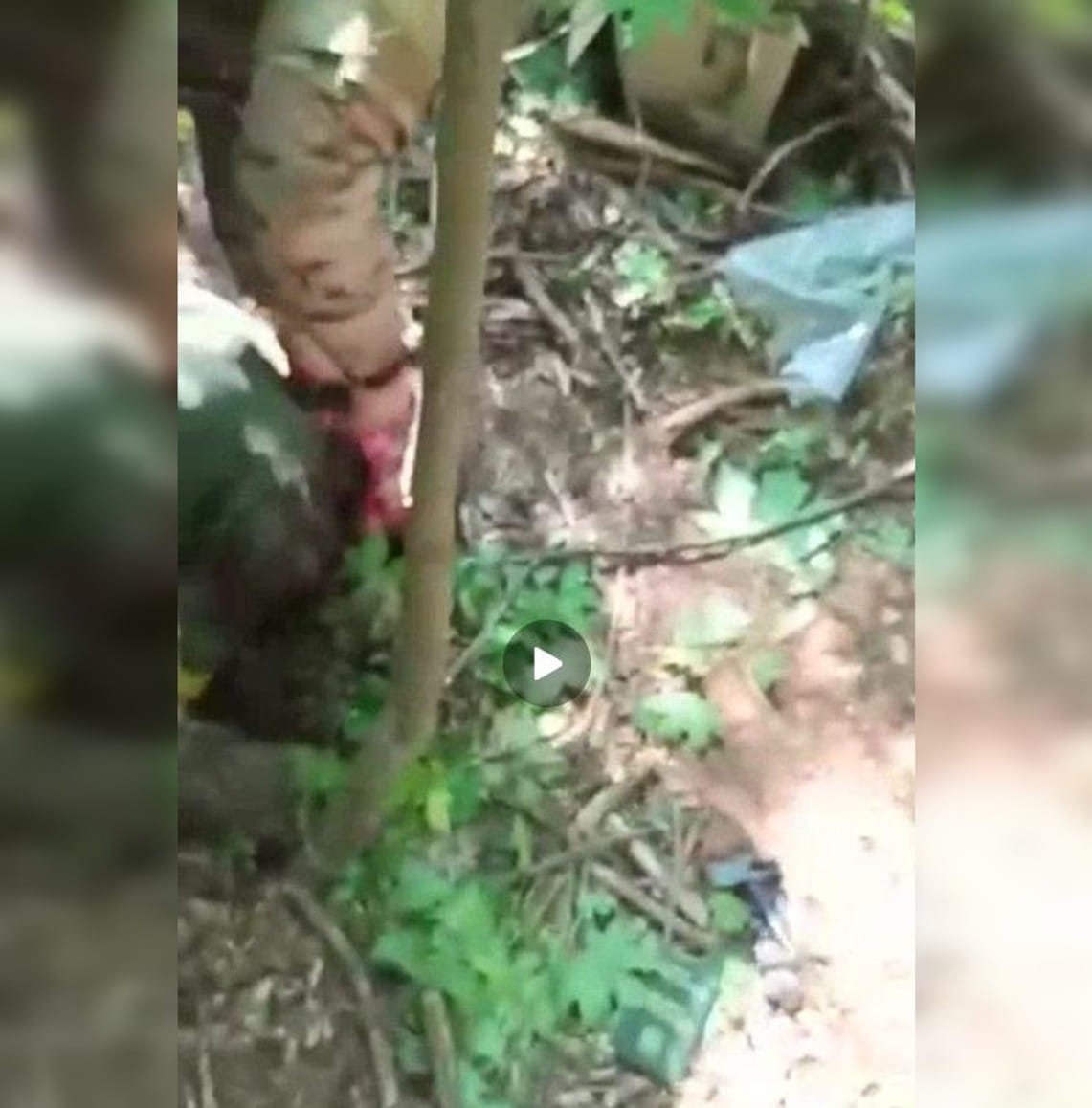 “Bag it and send it to the commander”: Video of Ukrainian soldier being decapitated surfaces on Telegram