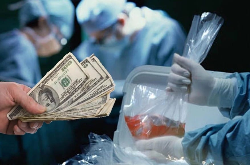 “A train car of Ukrainian hearts”: Russia’s MFA spokeswoman Maria Zakharova comes up with chilling fake about organ trafficking in Ukraine