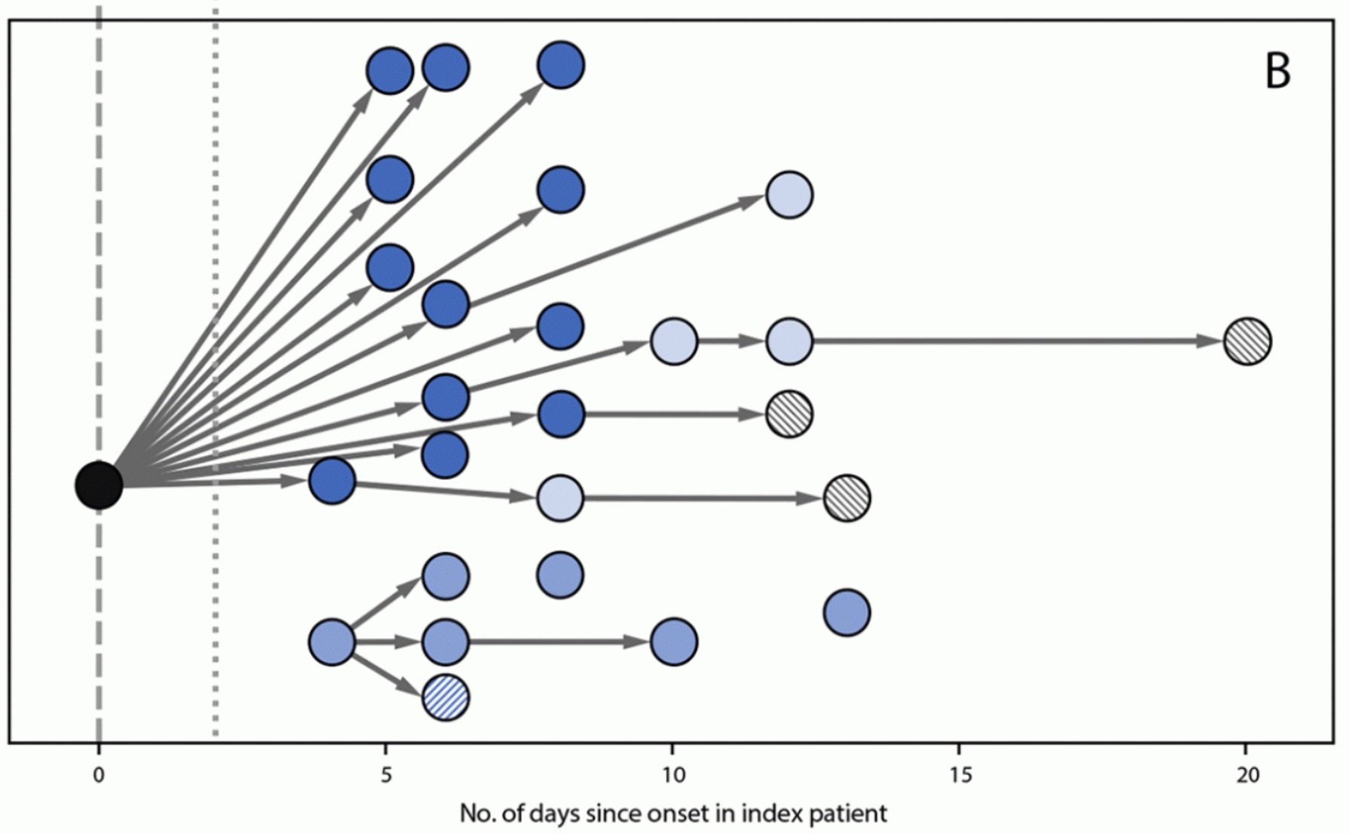 Figure 1. Covid distribution from patient zero to students and their parents in school