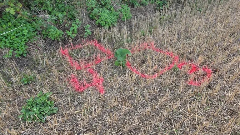 Police markings of the spots where the suspicious item was located