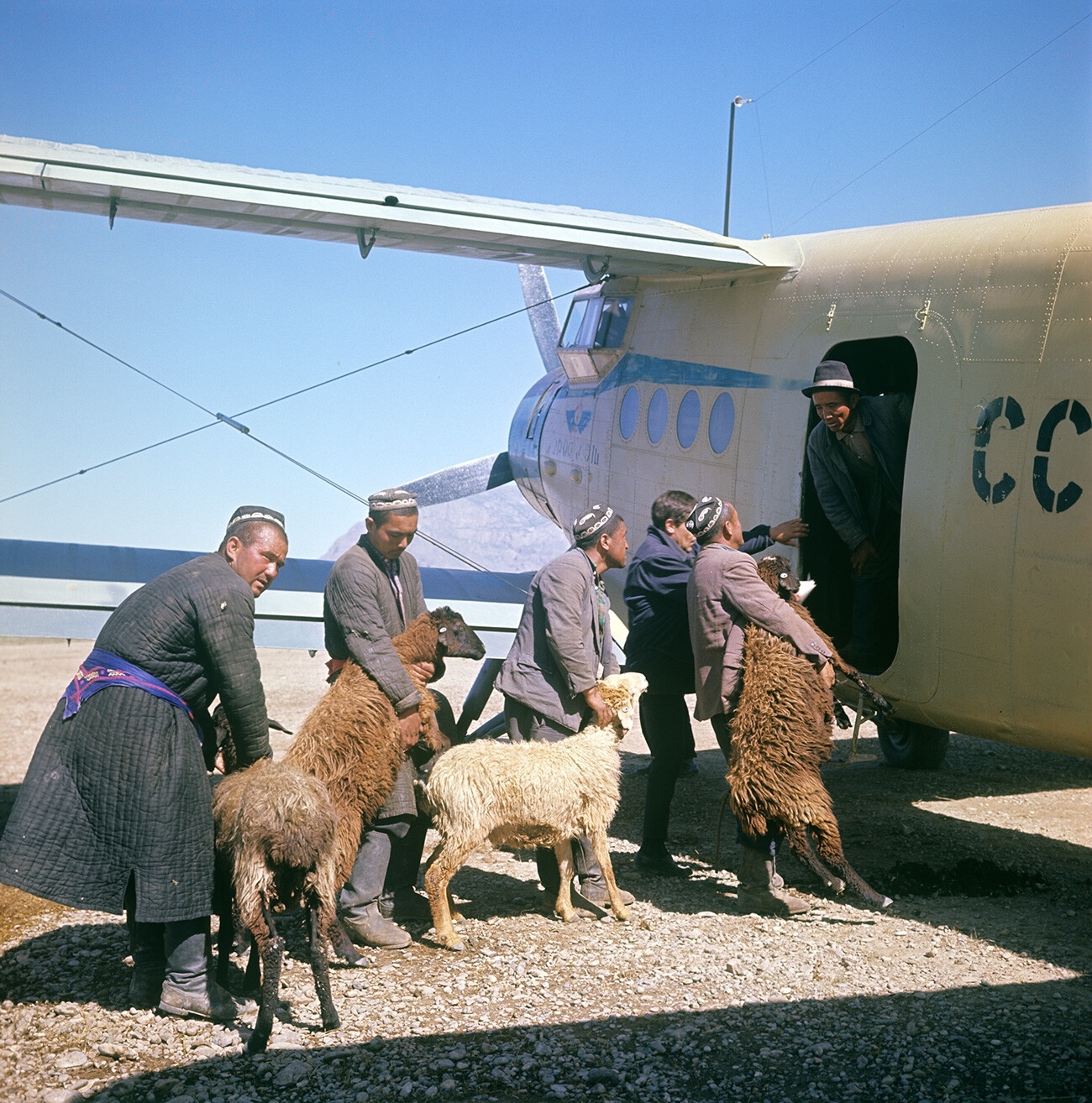 The people’s plane