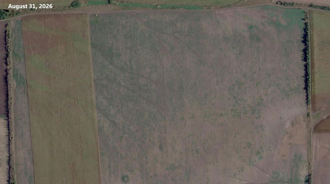 The field near Millerovo on Aug. 31, 2026