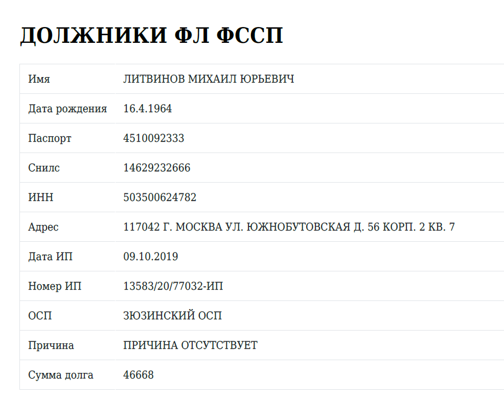Federal Bailiffs Service record on Litvinov