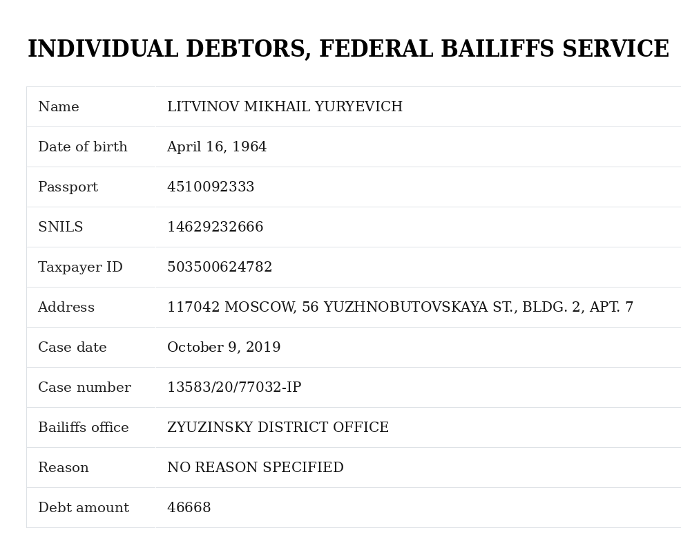 Federal Bailiffs Service record on Litvinov (translated by The Insider)