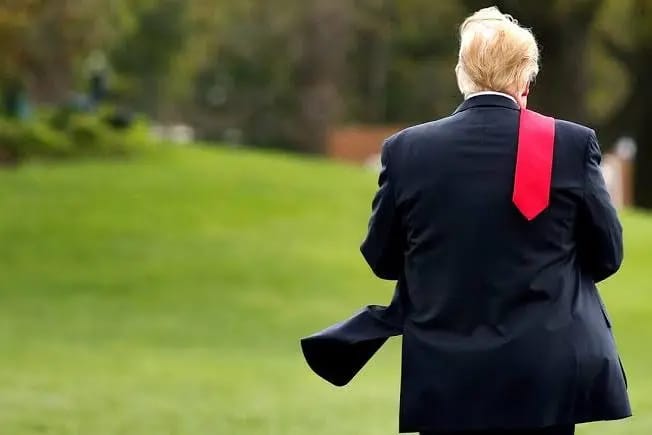 The lame duck’s swan song: Why Trump’s final two years in office could be his most chaotic period yet