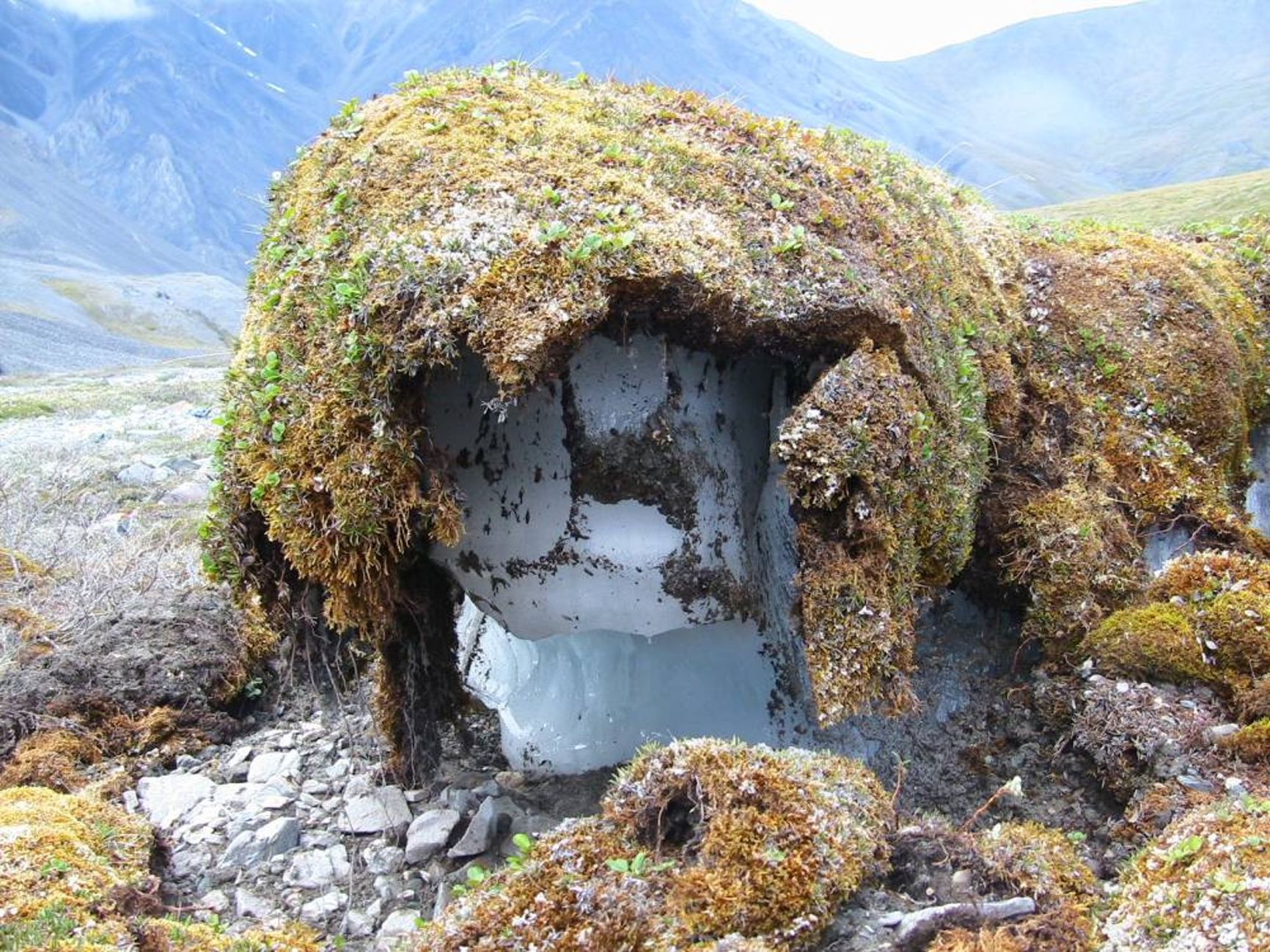 Thawing permafrost