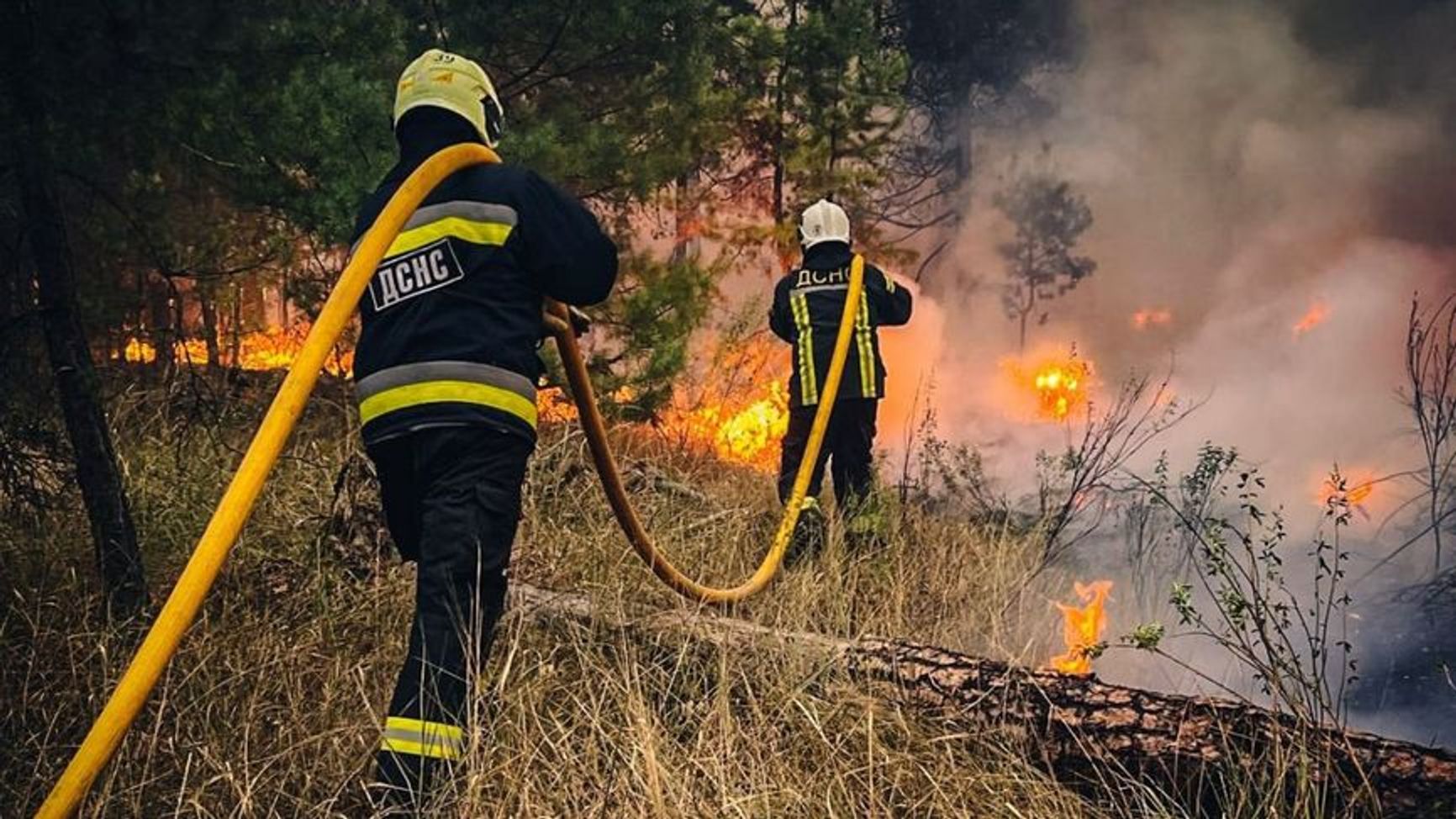 Firefighters from Ukraine's State Emergency Service working to contain a forest blaze.