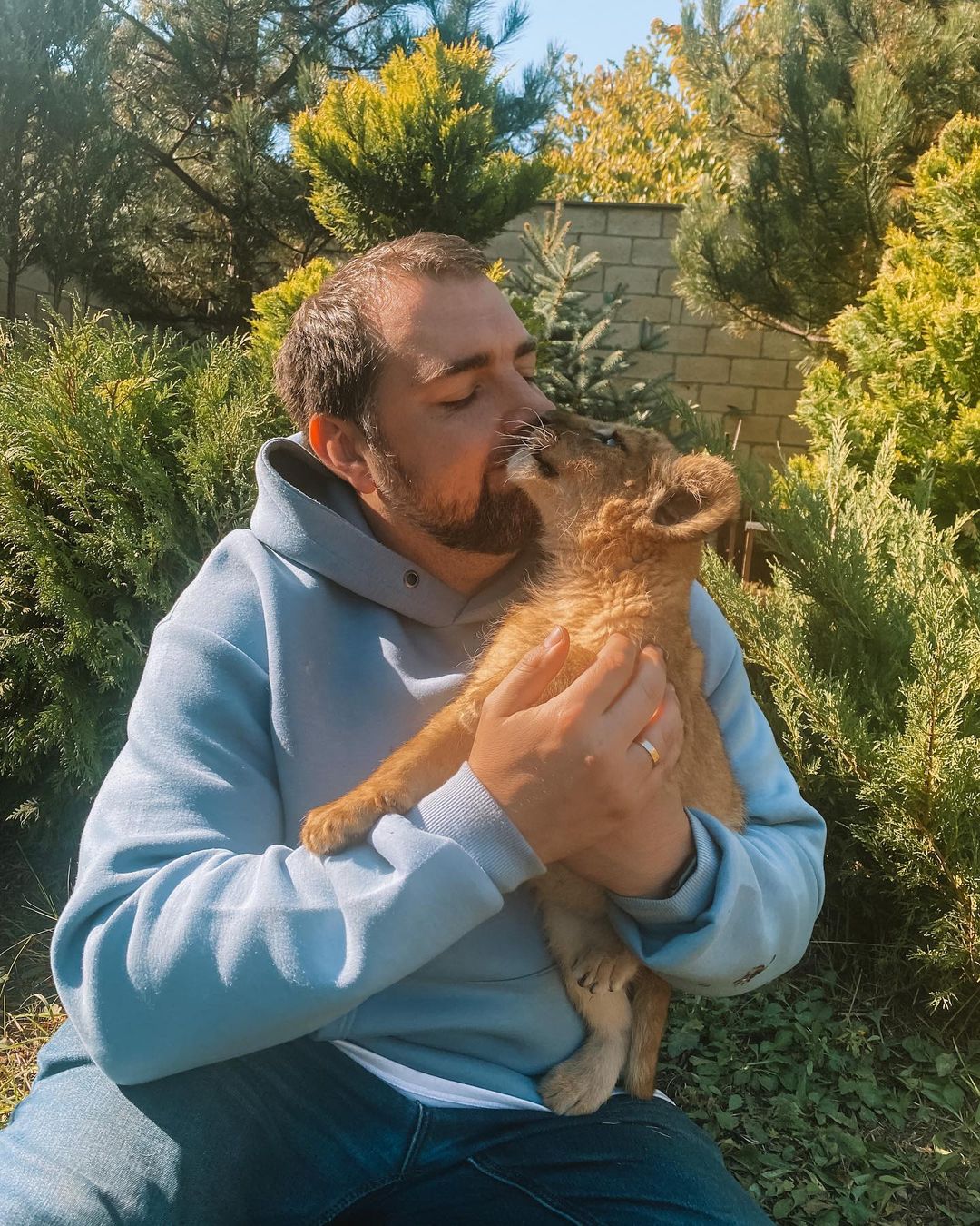 После реабилитации львят отправили в США