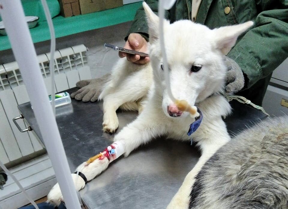 Иллюстрация к материалу