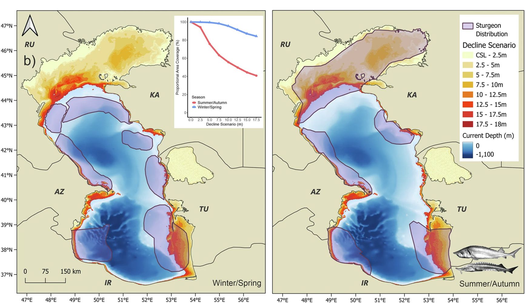 Maps show that even a 5–7 meter drop in sea level would leave sturgeon without their primary spawning grounds in the northern Caspian (spawning sites marked in purple on the right-hand map)