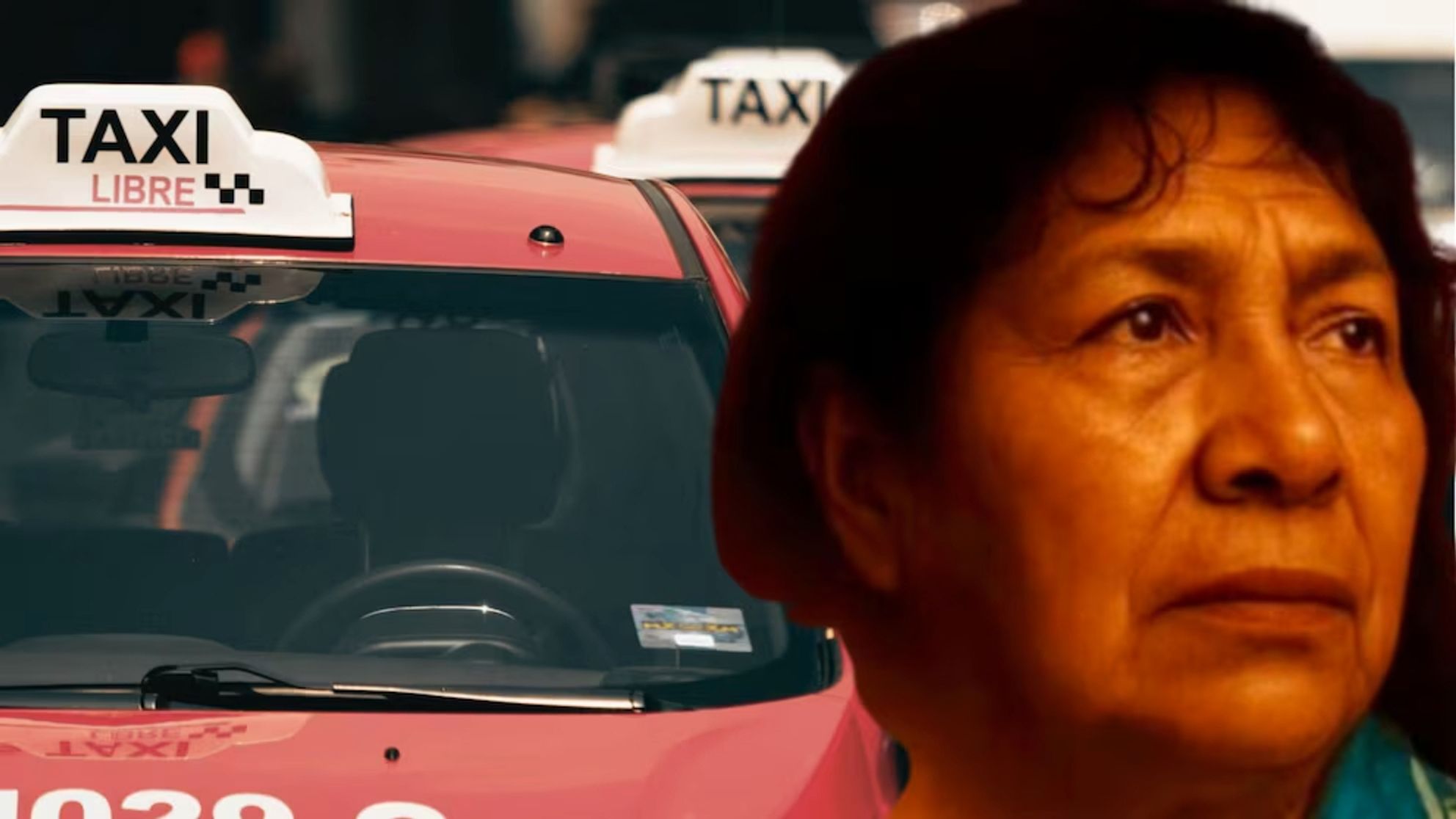 Irma Hernández Cruz  