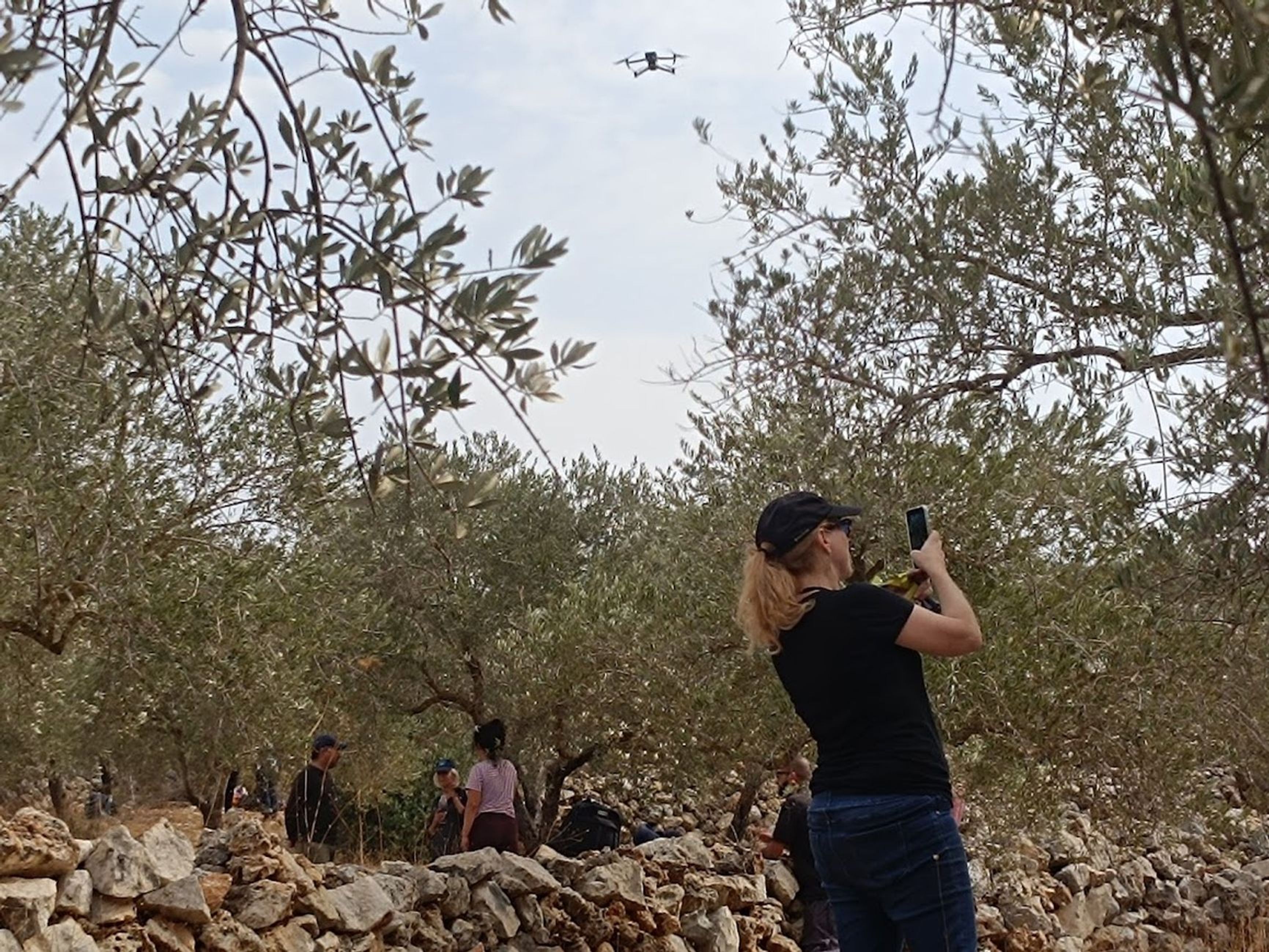 An unidentified drone over a Palestinian olive grove