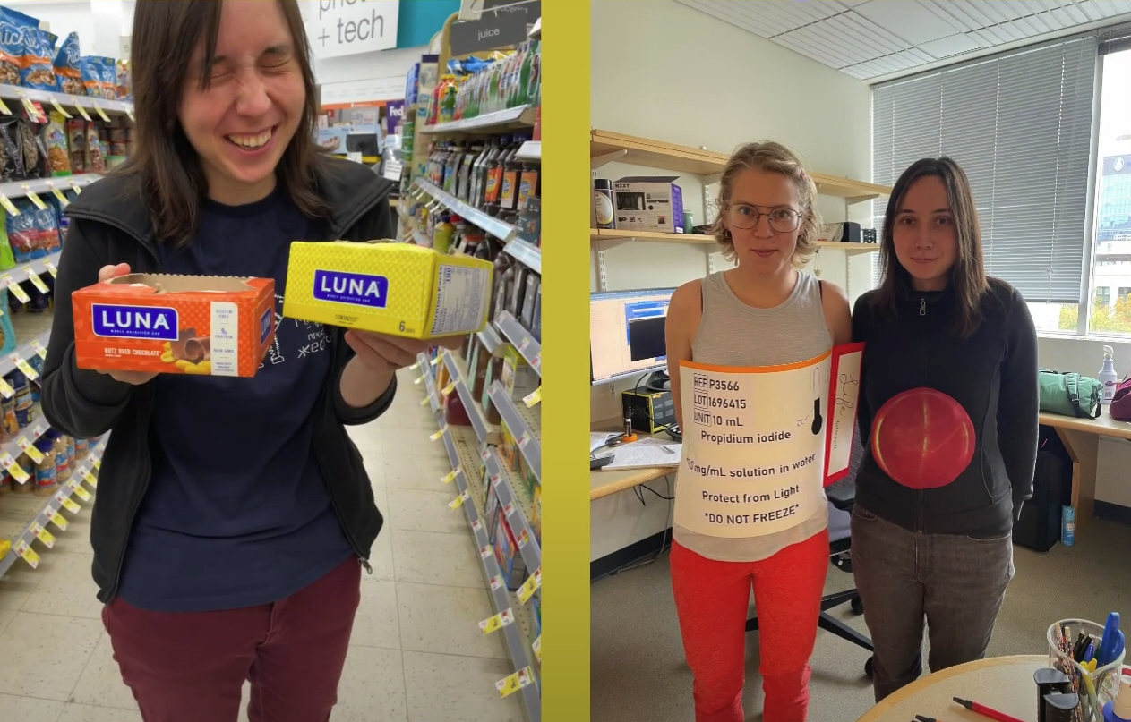 Screenshot of a YouTube video in support of a fundraiser for Kseniia. Source: GoFundMe ('Stand With Kseniia: A Harvard Scientist in Need')