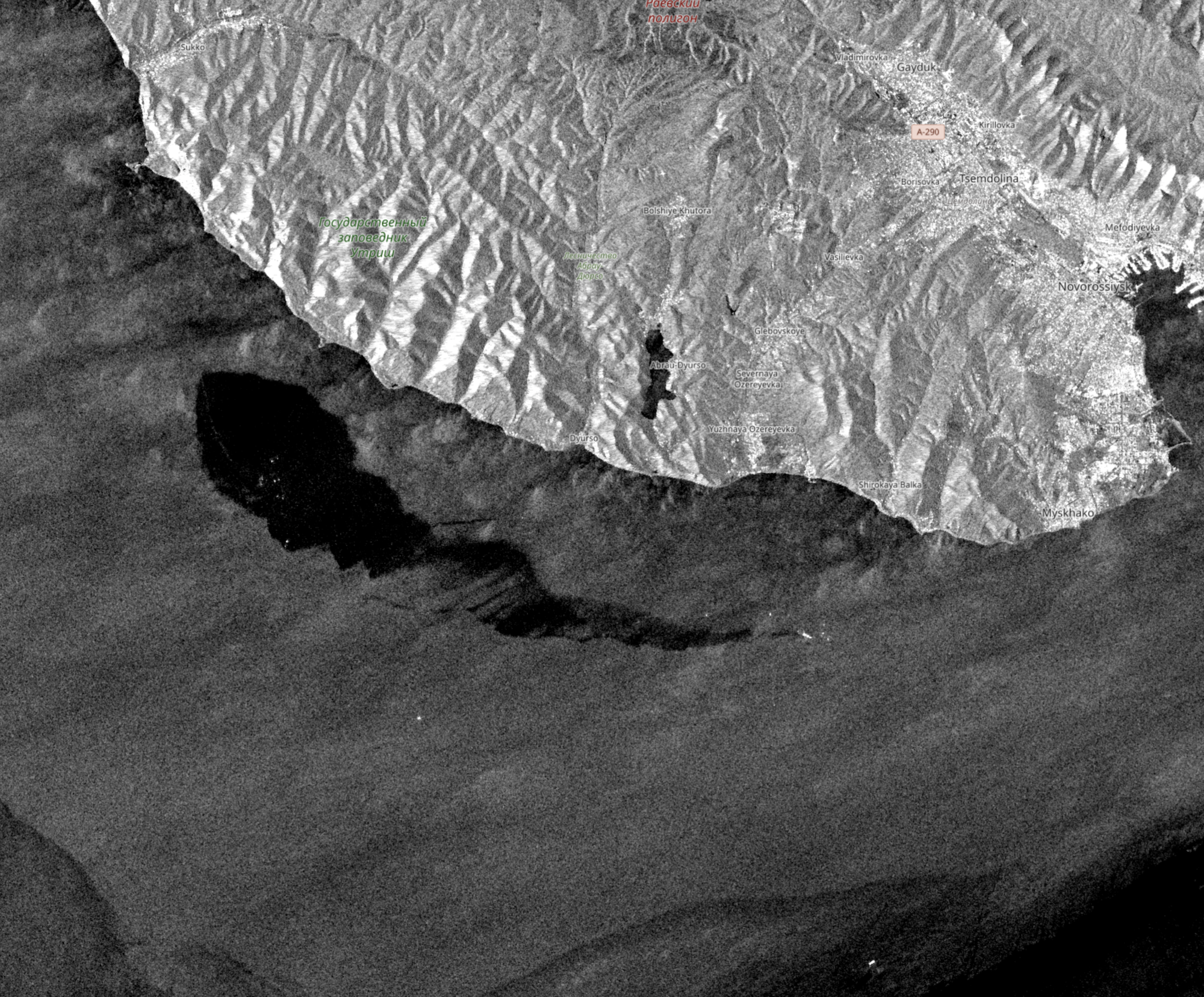 Sentinel-1 / The Insider