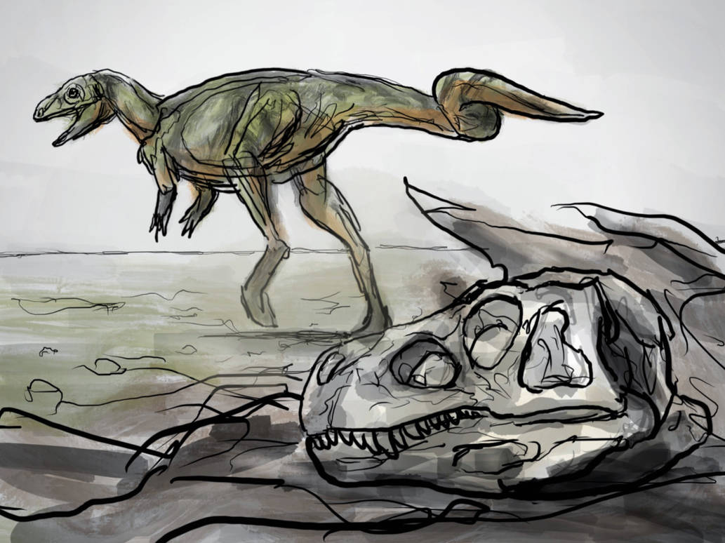 Изображение: nogain98