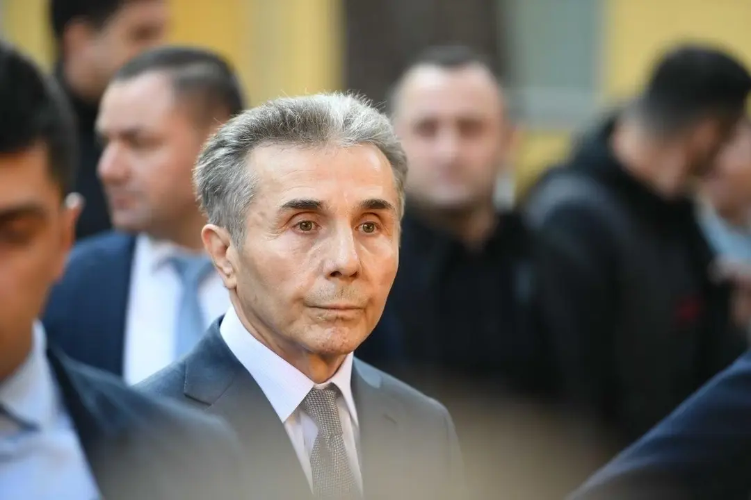 “Mr. Ivanishvili thinks that everybody is plotting against him,” Salomé Zourabichvili tells The Insider