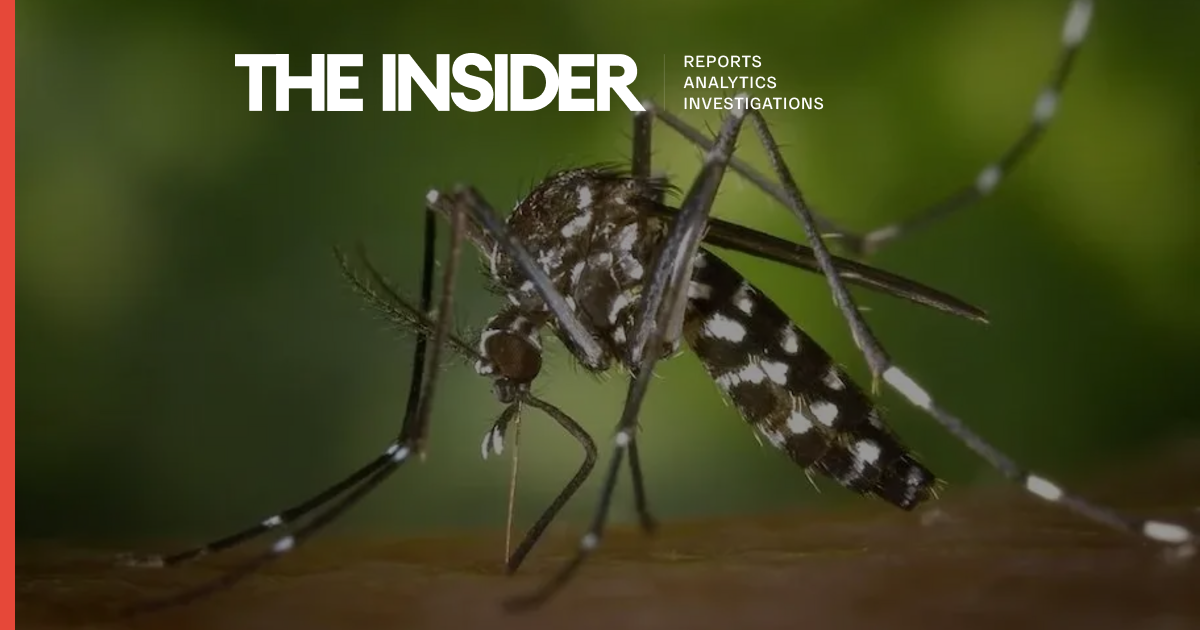 Killer mosquitoes: As the climate changes, African diseases are spreading ...